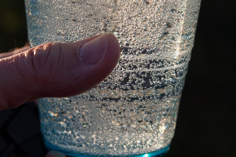 Доклад: Великая засуха: что лучше пить в жару